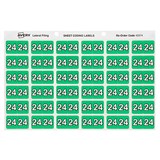 AVERY 43374 LATERAL FILE LABEL SIDE TAB YEAR CODE 24 25 X 38MM PACK 180