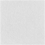 SANA ACOUSTIC PANEL 2400 X 1200MM FROST