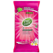 Sponges and Scourers